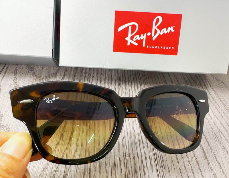 Rayban Glasses (24)